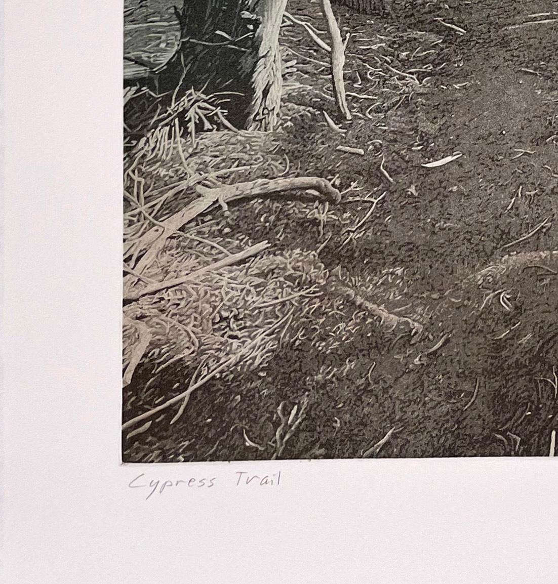 Cypress Trail, a la poupee edition - Contemporary Print by Stephen McMillan