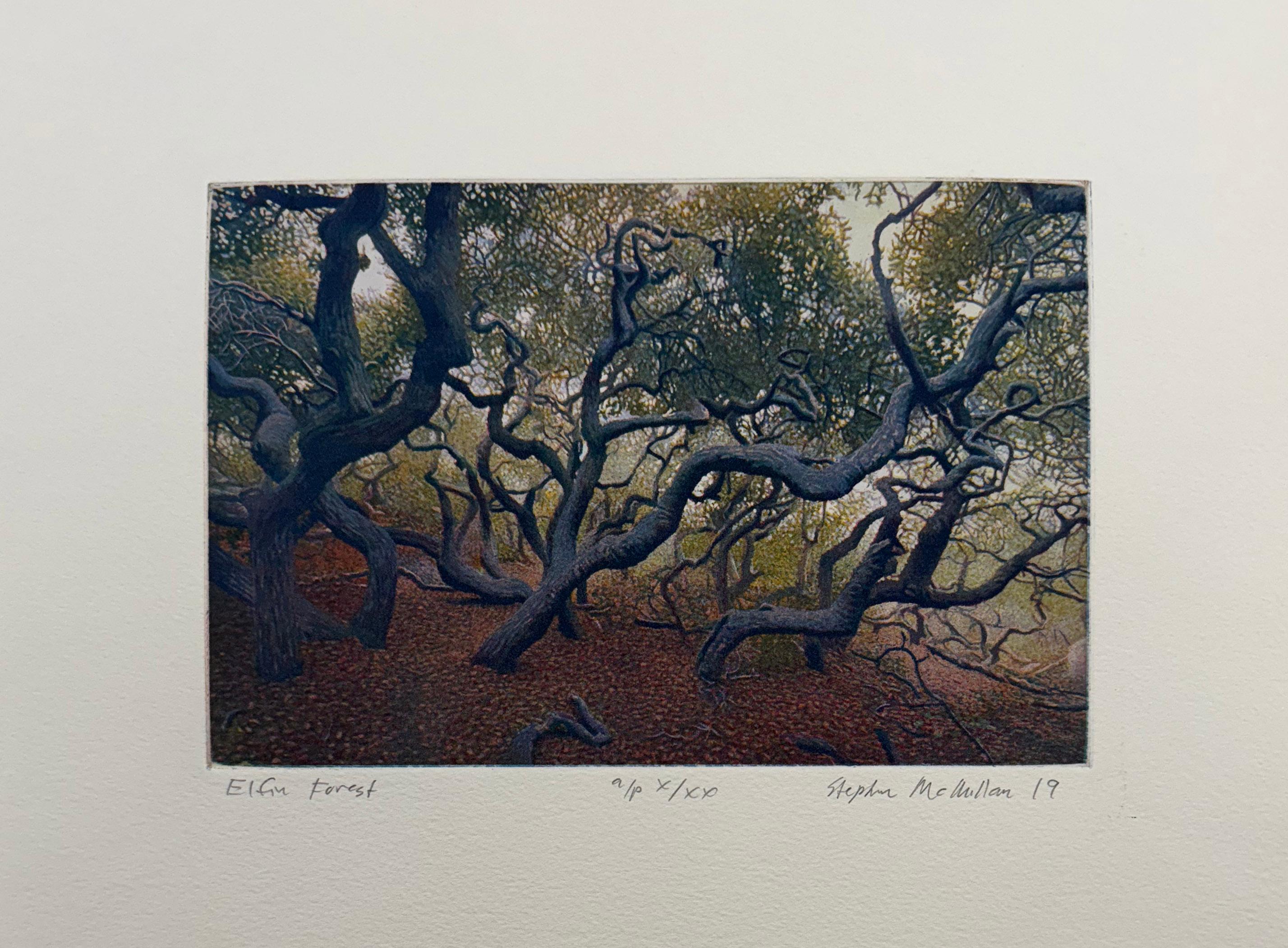 Elfin Forest, by Stephen McMillan For Sale 1