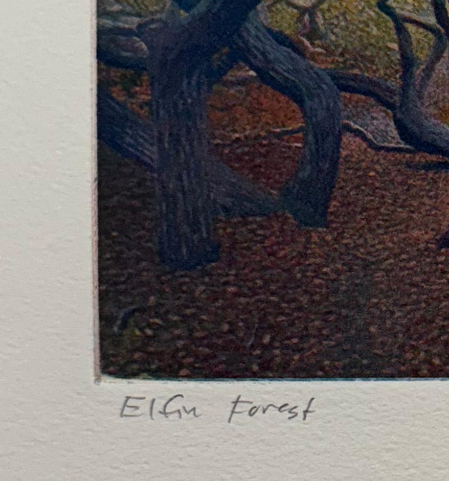 Elfin Forest, by Stephen McMillan For Sale 2