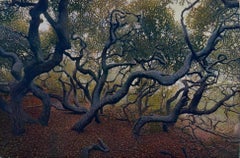 Elfin Forest, von Stephen McMillan