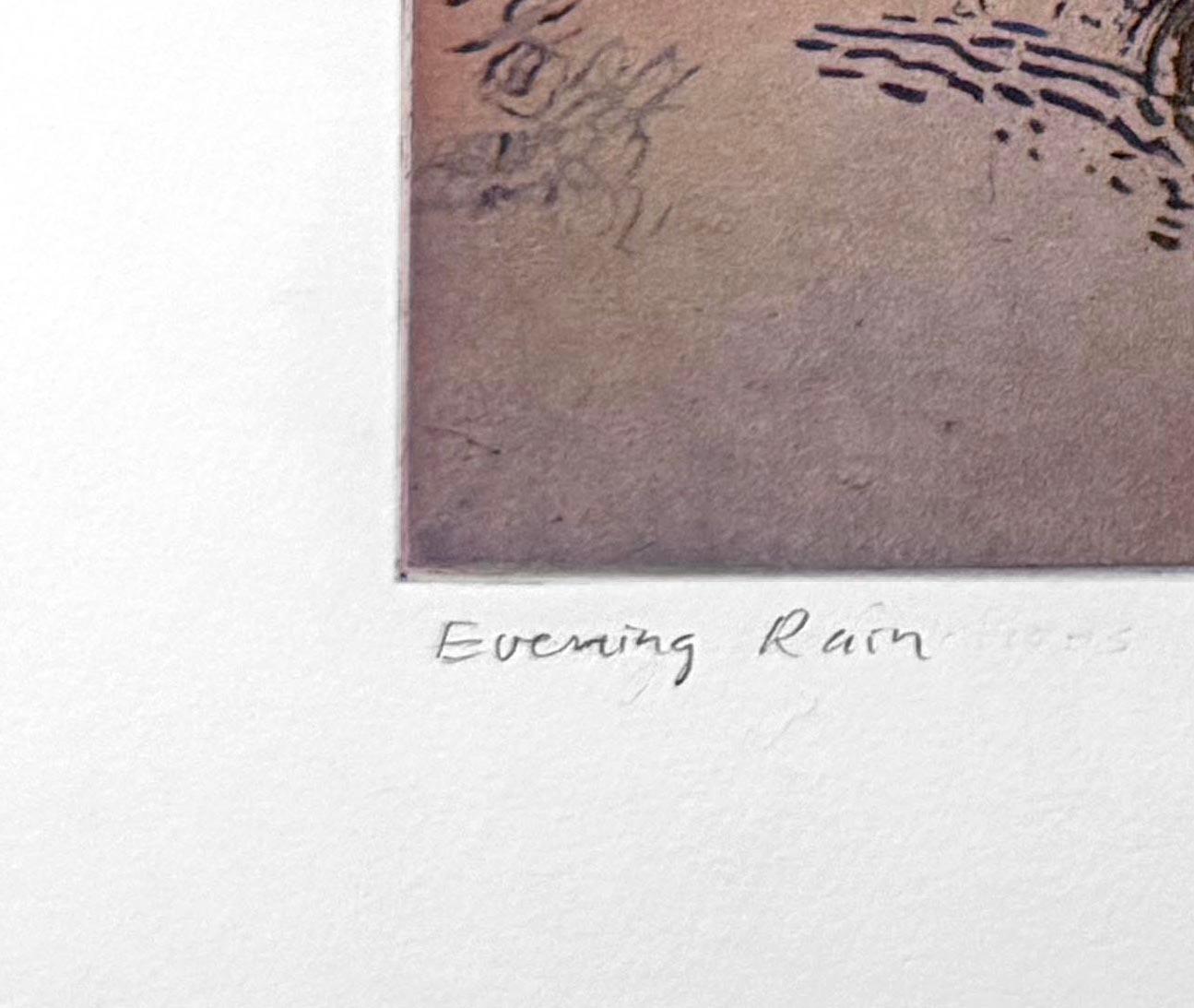 Lluvia vespertina (14/20), de Stephen McMillan en venta 2