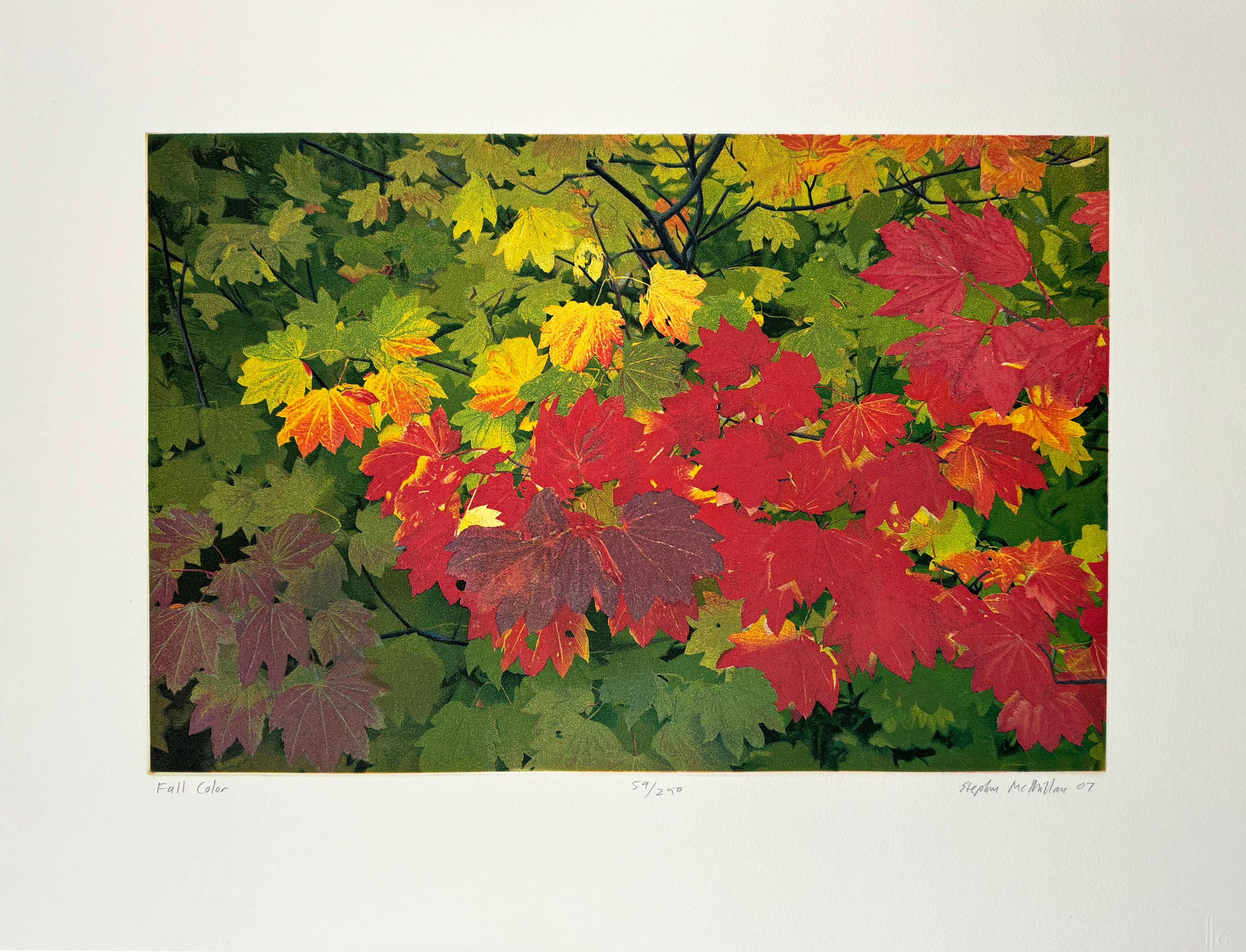 Fall Colors - Print by Stephen McMillan
