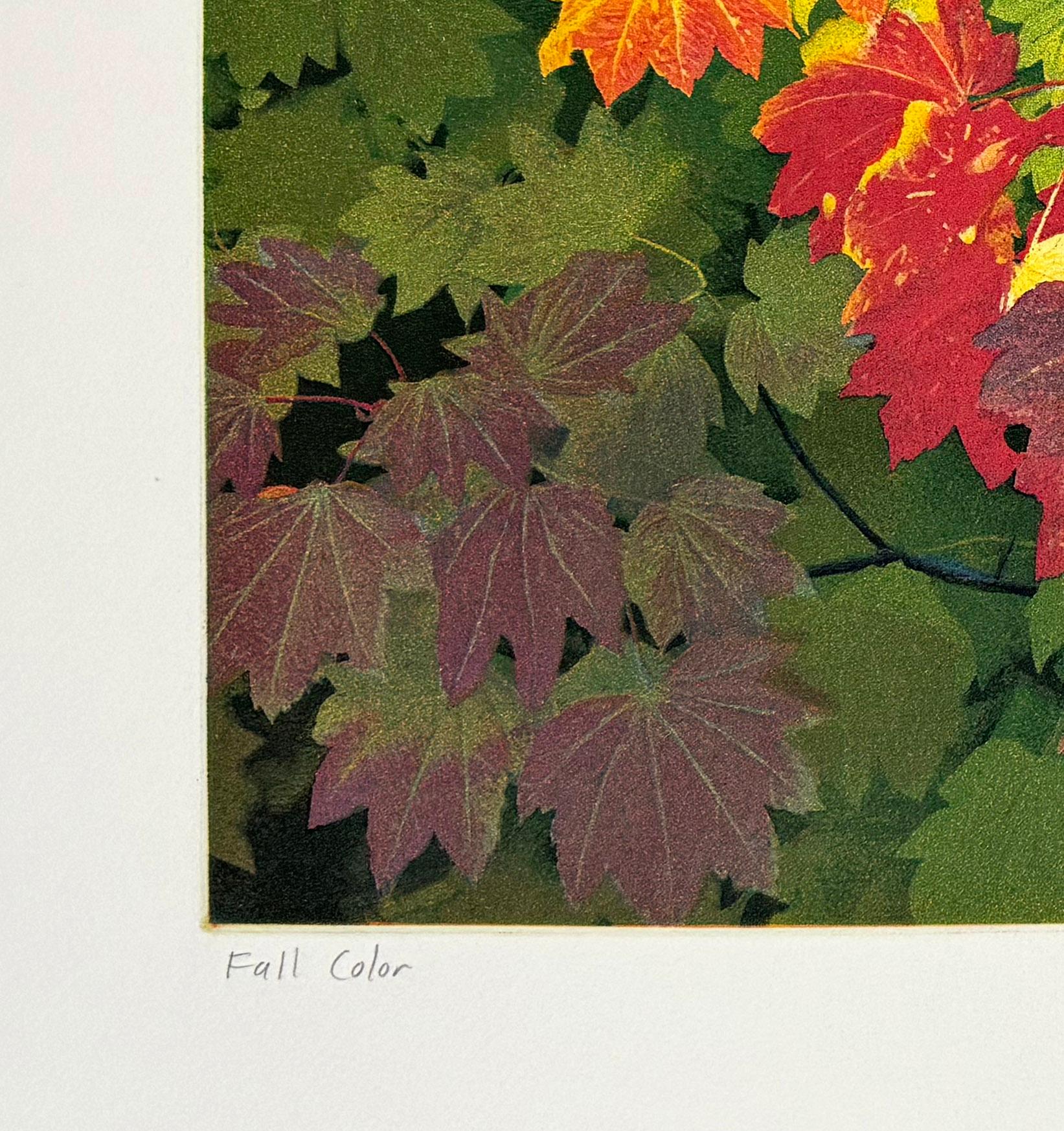 Fall Colors - Contemporary Print by Stephen McMillan