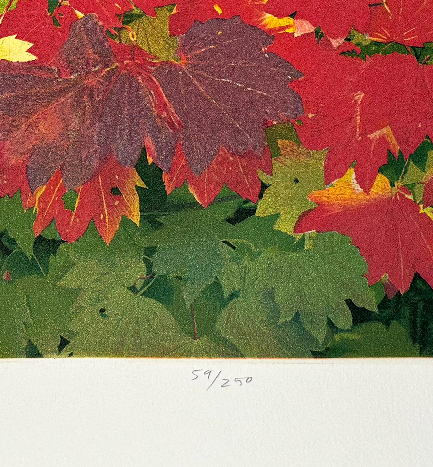 Signé, titré et numéroté par l'artiste
Taille de l'image : 12 x 18 pouces
Année : 2007

Couleurs d'automne à Bellingham, WA. Scène de soleil sur un feuillage d'automne. Gravure et aquatinte signées et numérotées

Né à Berkeley, en Californie, le 21