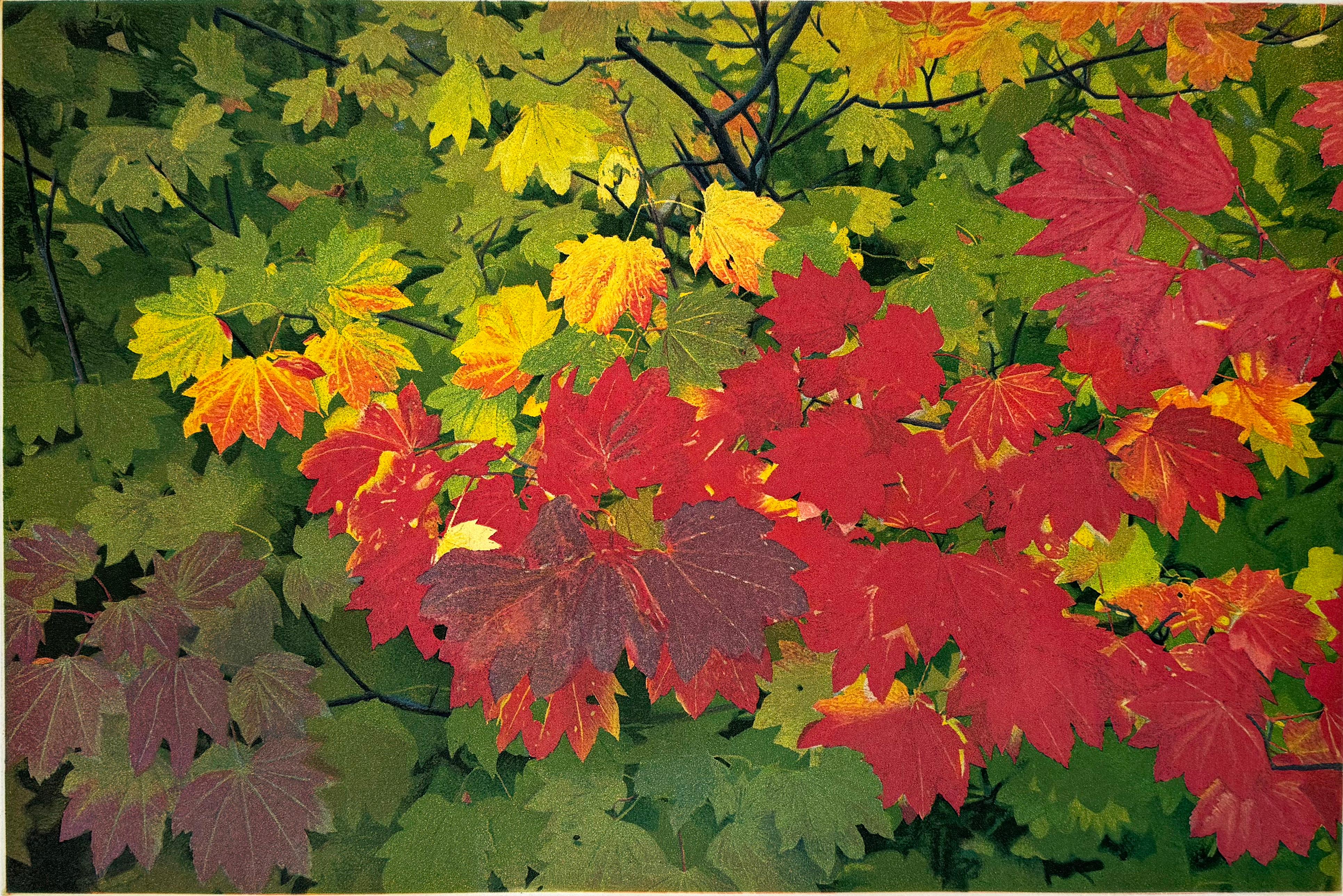 Landscape Print Stephen McMillan - Couleurs d'automne