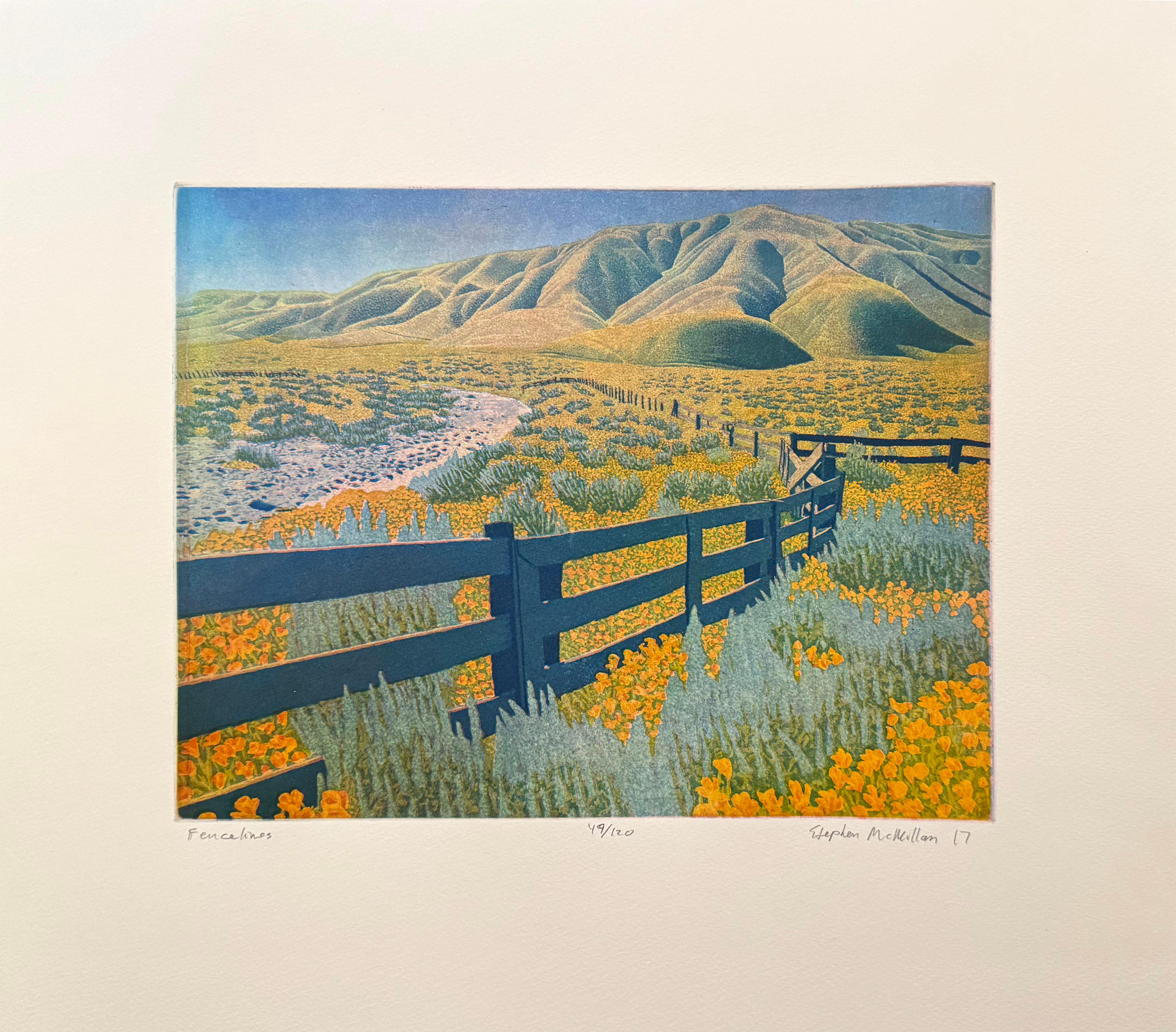 Fence Lines, by Stephen McMillan For Sale 1