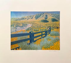 Fence Lines, by Stephen McMillan