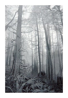 Promenade en forêt