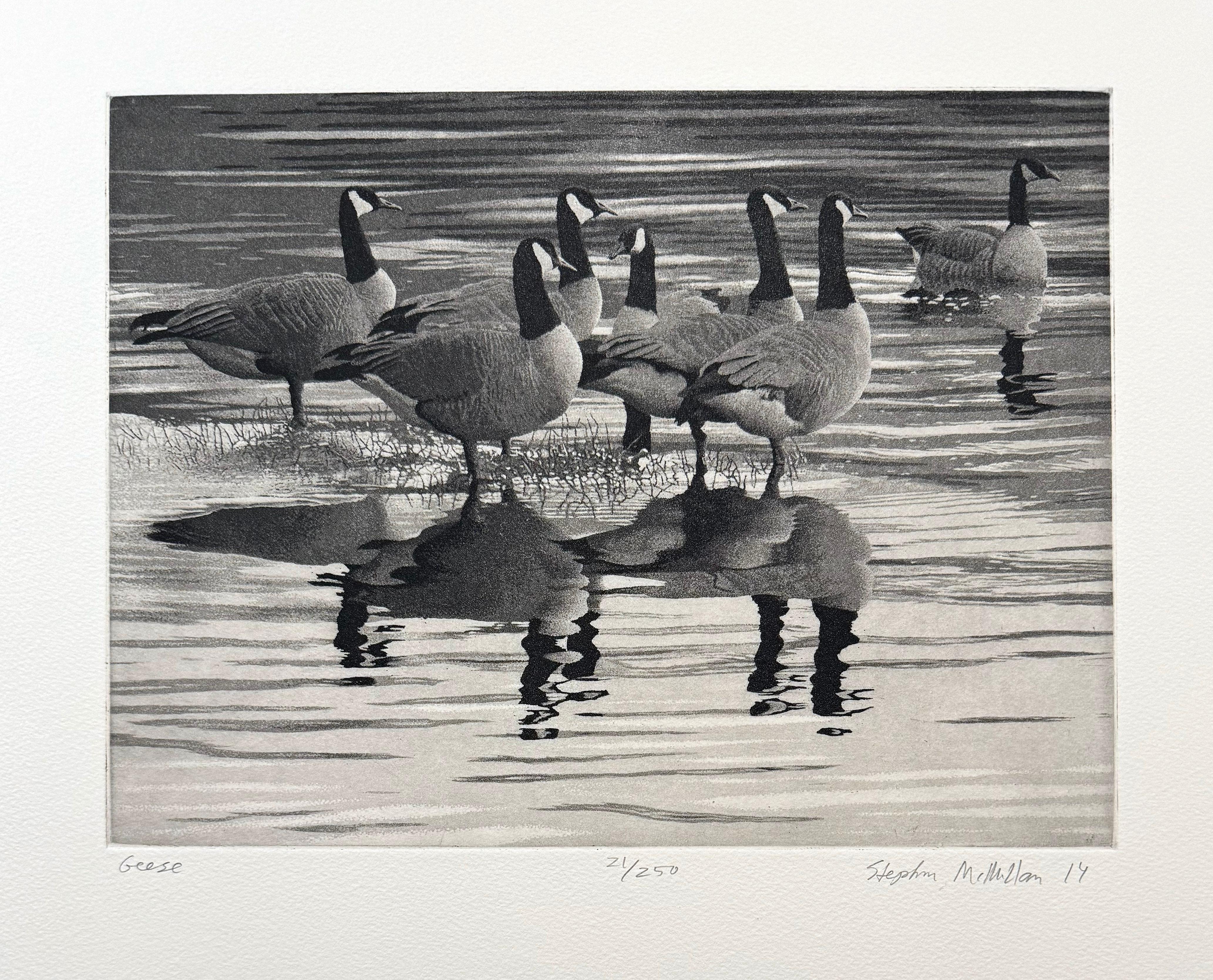 Geese, by Stephen McMillan For Sale 1