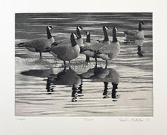 Geese, by Stephen McMillan