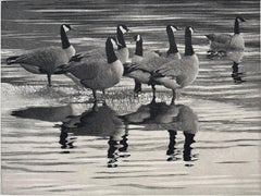 Vintage Geese, by Stephen McMillan