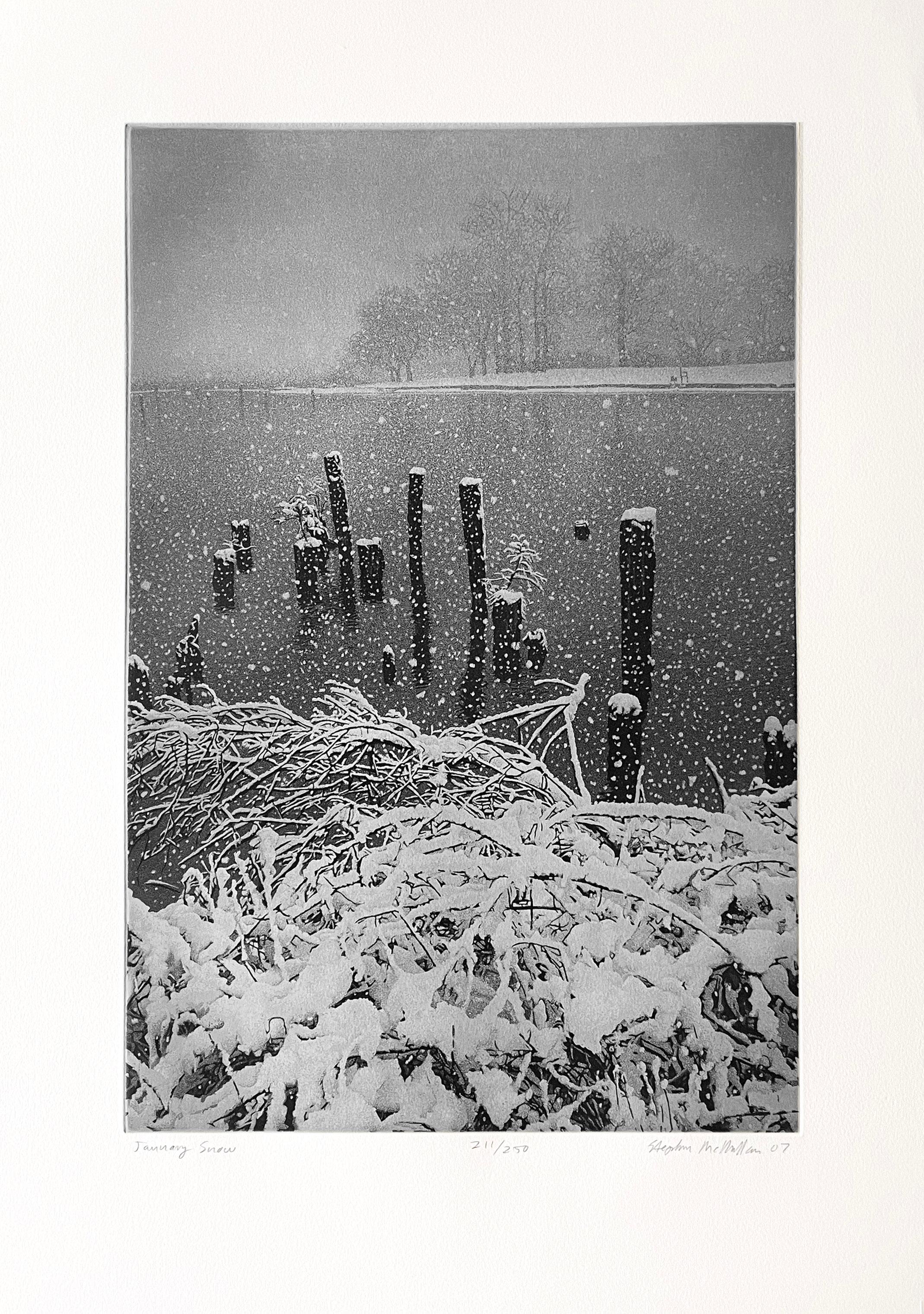 January Snow, by Stephen McMillan en vente 1