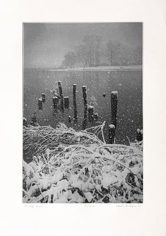 Schnee im Januar, von Stephen McMillan