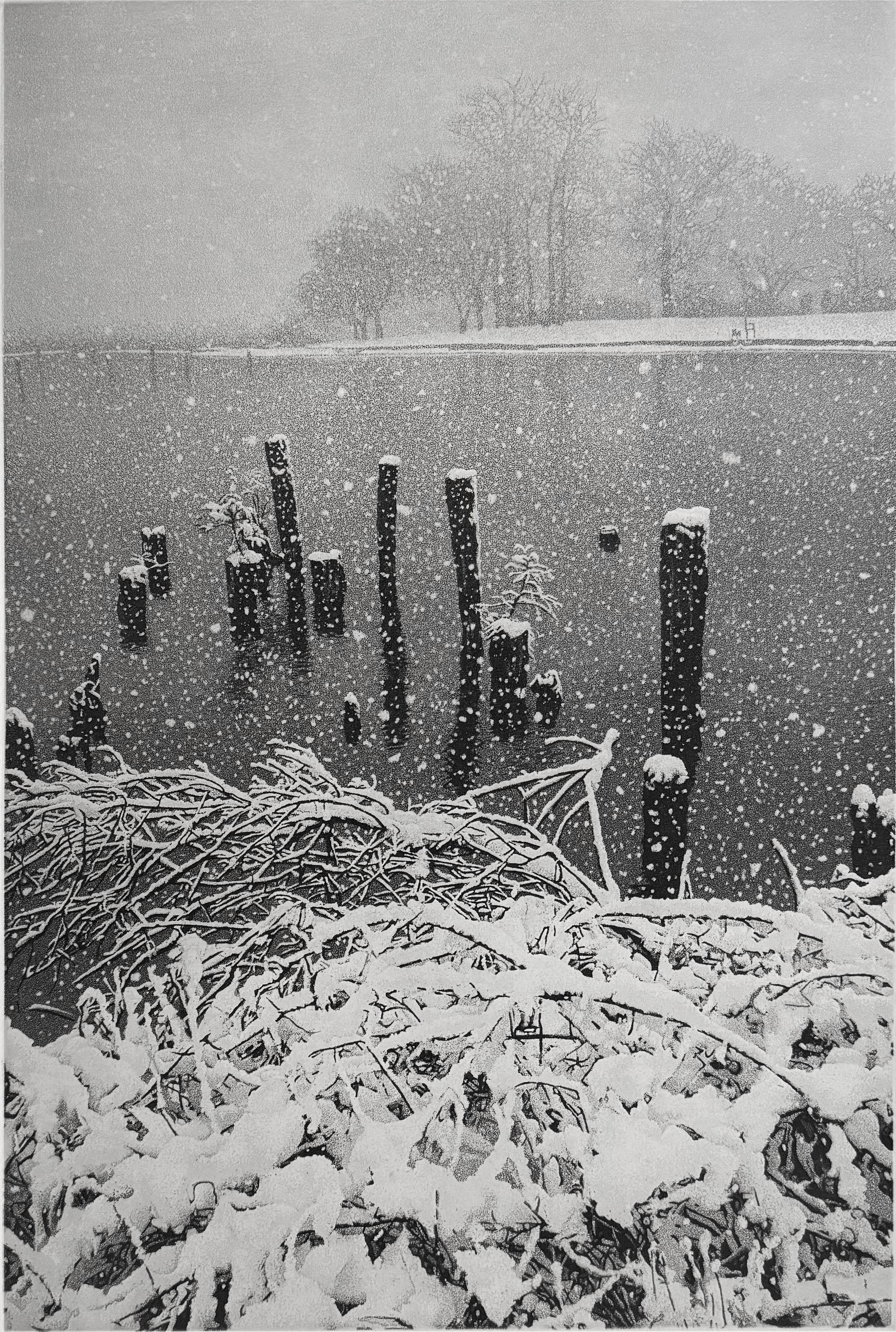 January Snow, by Stephen McMillan
