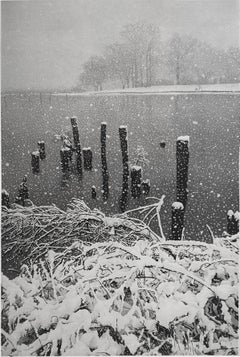 January Snow, by Stephen McMillan