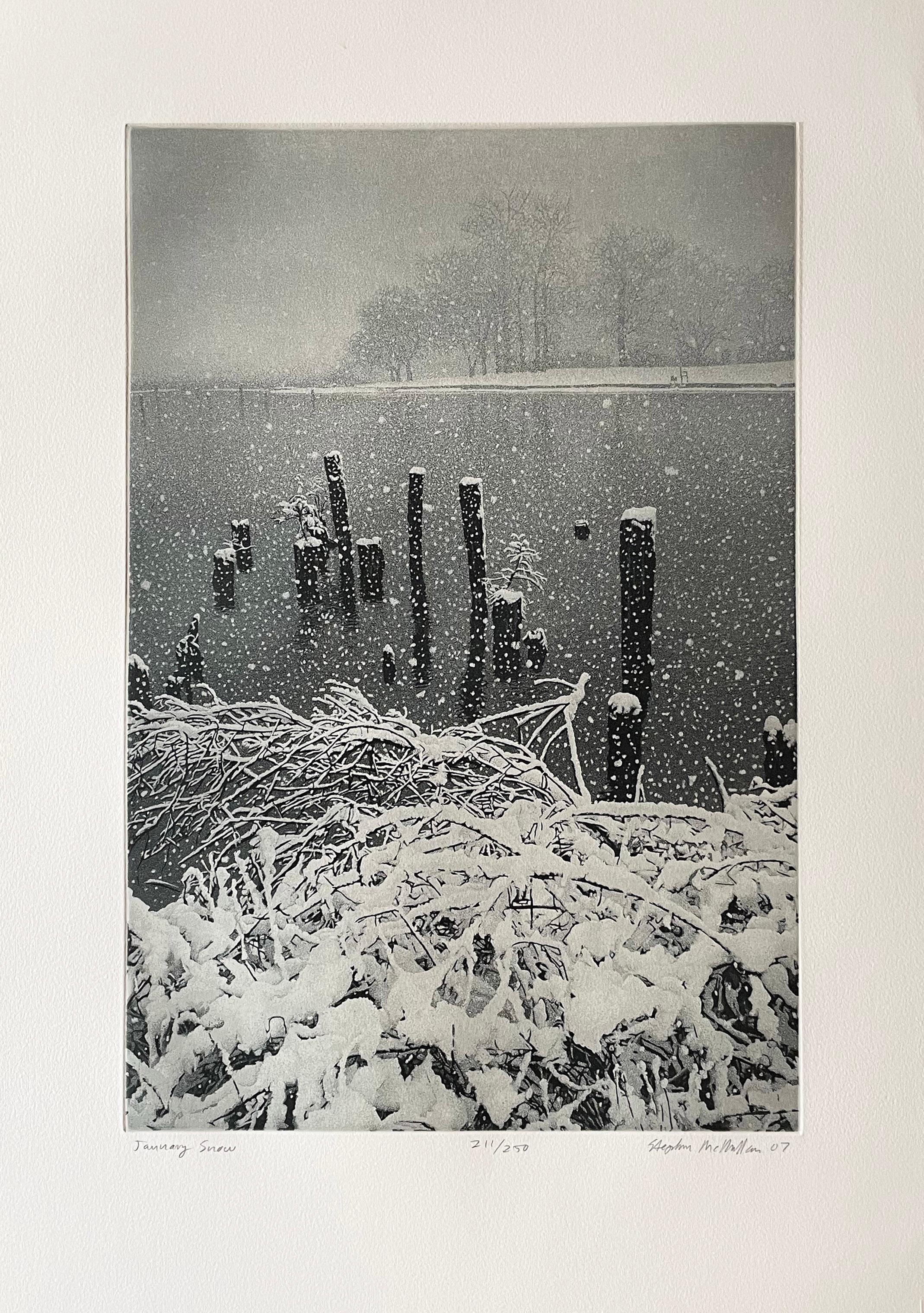 January Snow - Print by Stephen McMillan