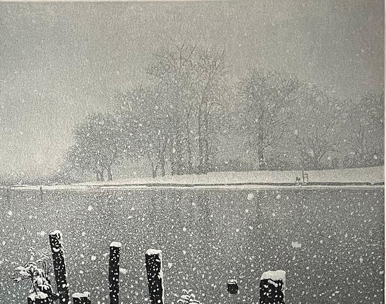 January Snow - Contemporary Print by Stephen McMillan