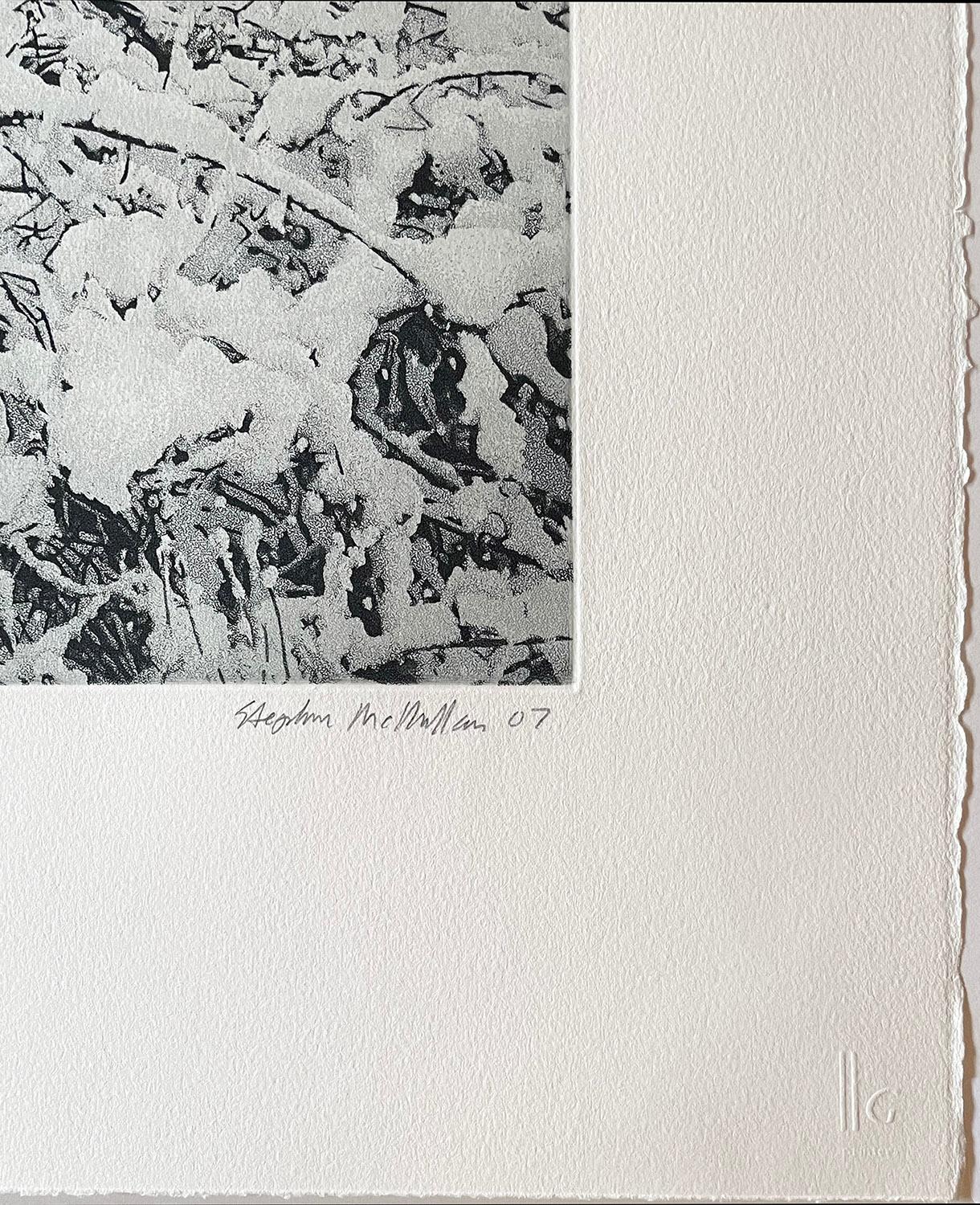 January Snow - Gray Landscape Print by Stephen McMillan