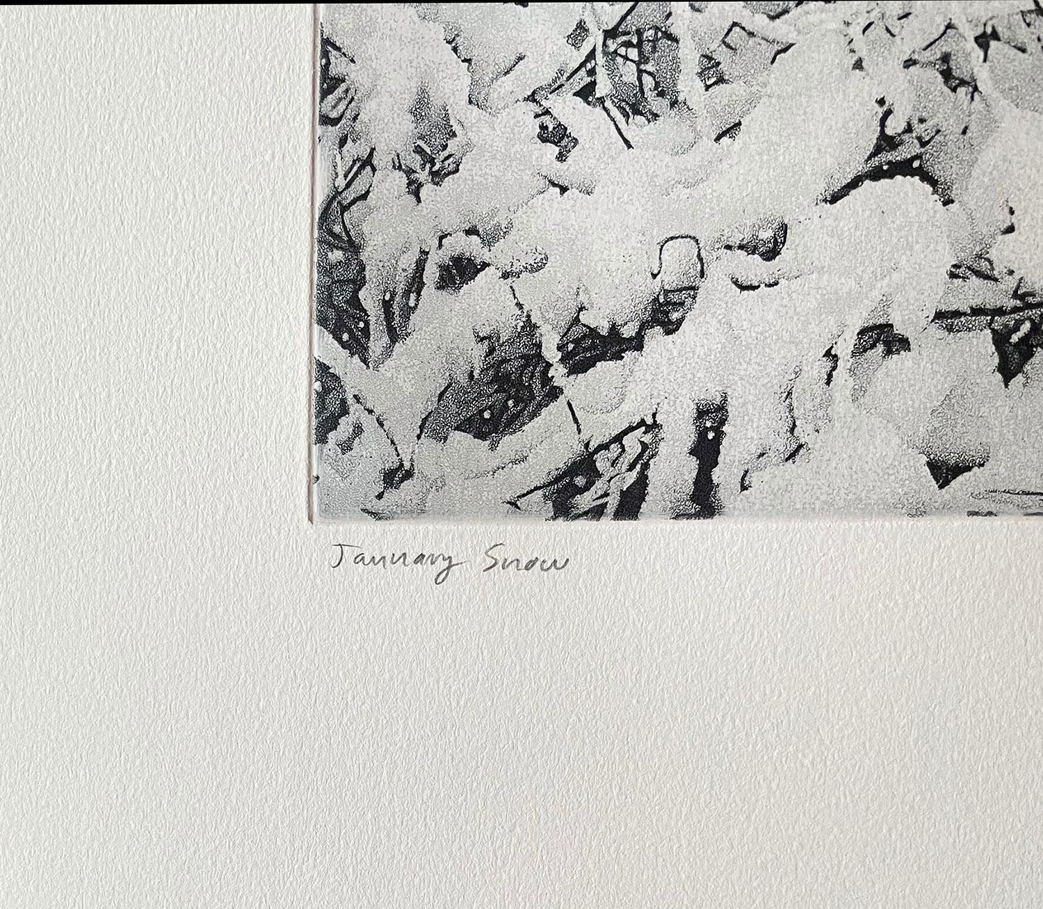 This print recalls a scene in Bloedel Donovan Park, Lake Whatcom, Bellingham, Washington. A fresh dusting of snow is falling against the backdrop of a lake and forest. Signed, titled and numbered in pencil. Classic winter landscape.

Born in