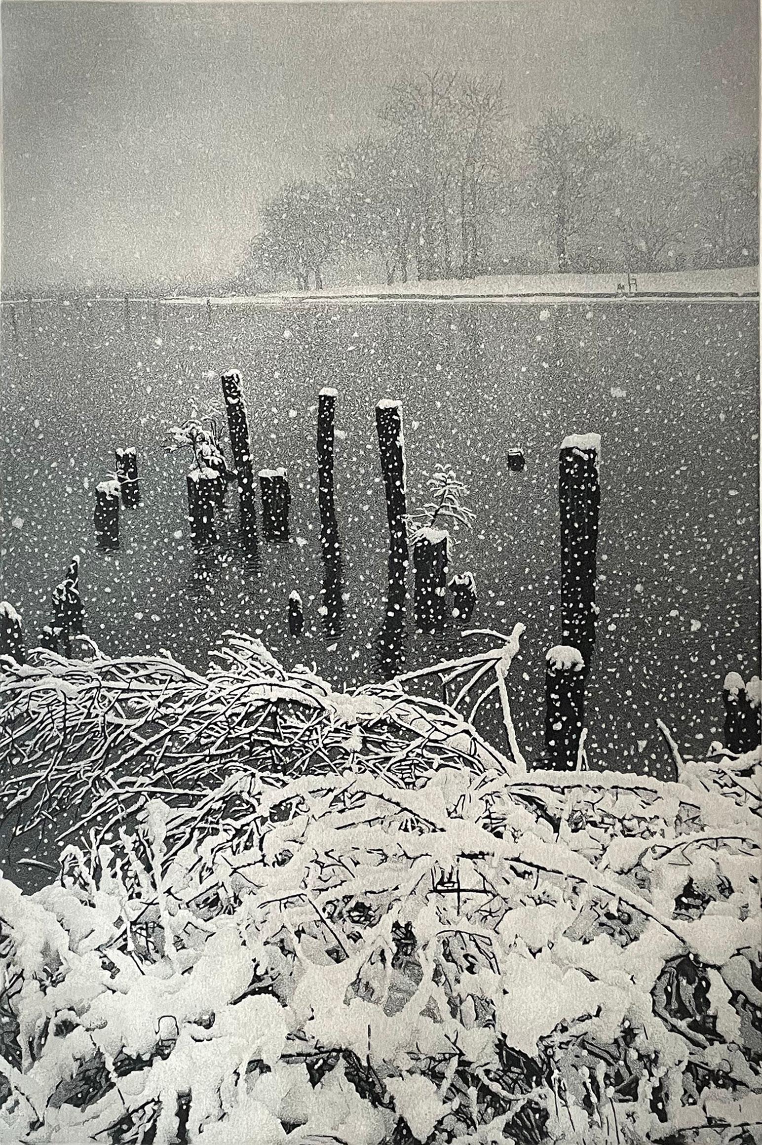 Stephen McMillan Landscape Print - January Snow