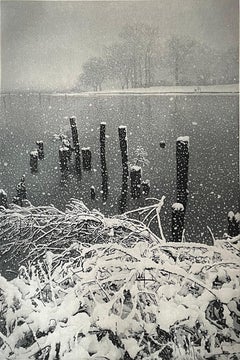 January Snow