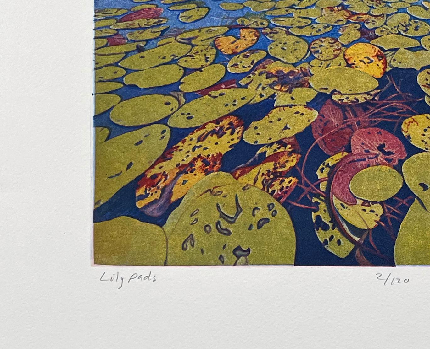 Lily Pads, by Stephen McMillan For Sale 3