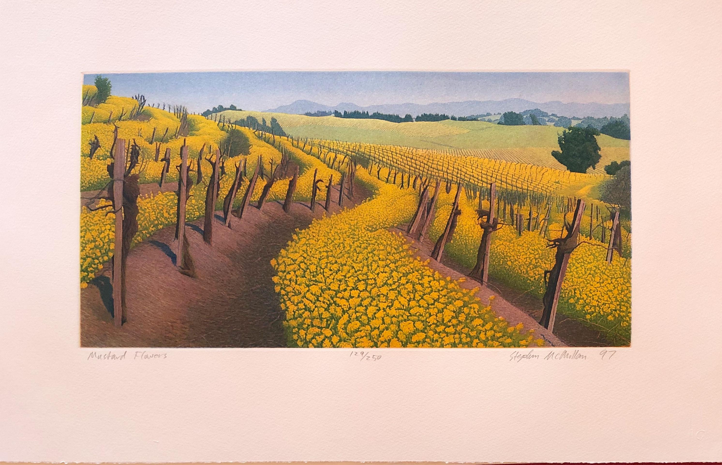 Mustard Flowers - Print by Stephen McMillan