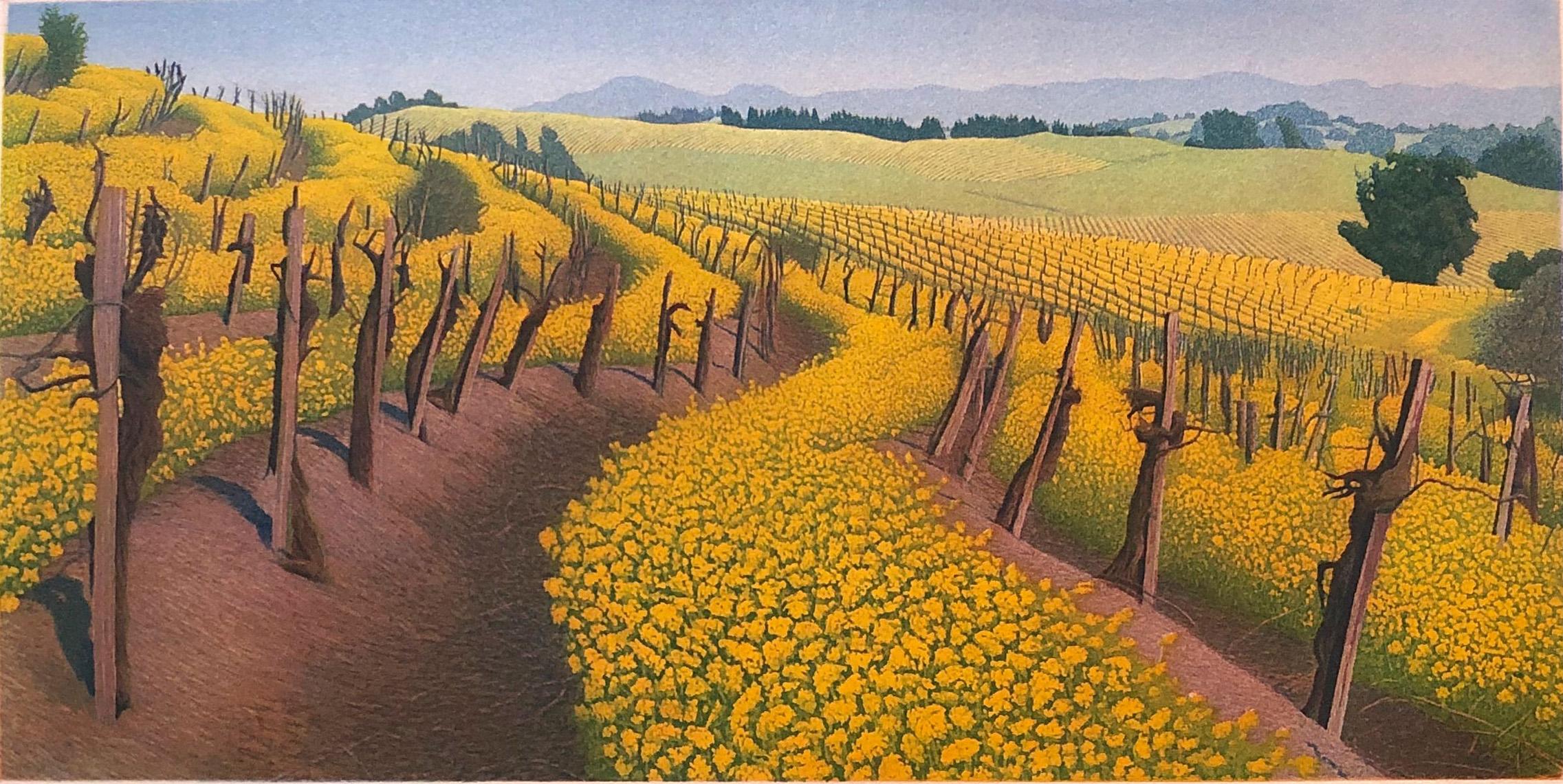 Stephen McMillan Landscape Print - Mustard Flowers