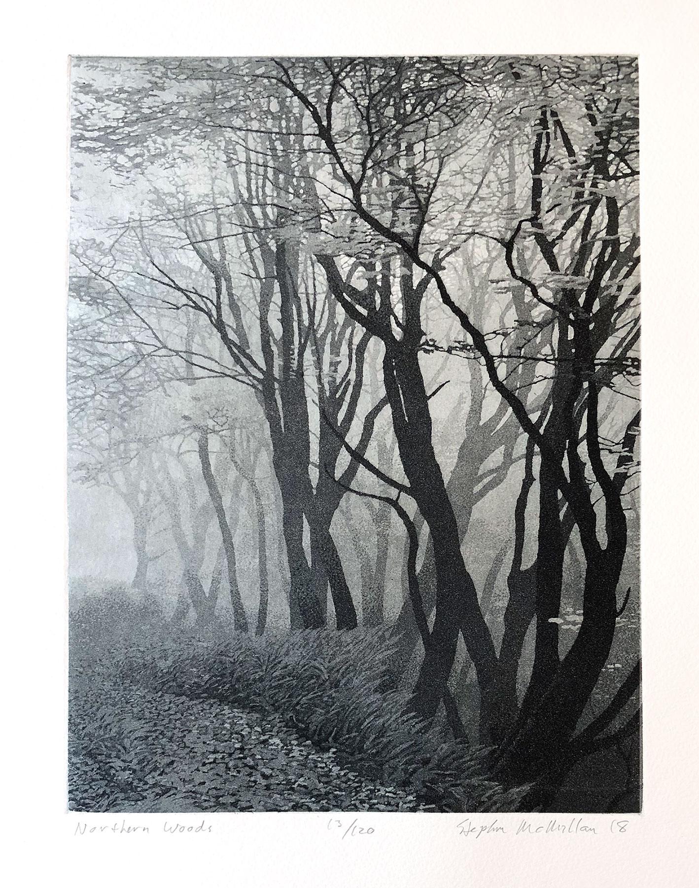 Bosques del Norte - Print de Stephen McMillan