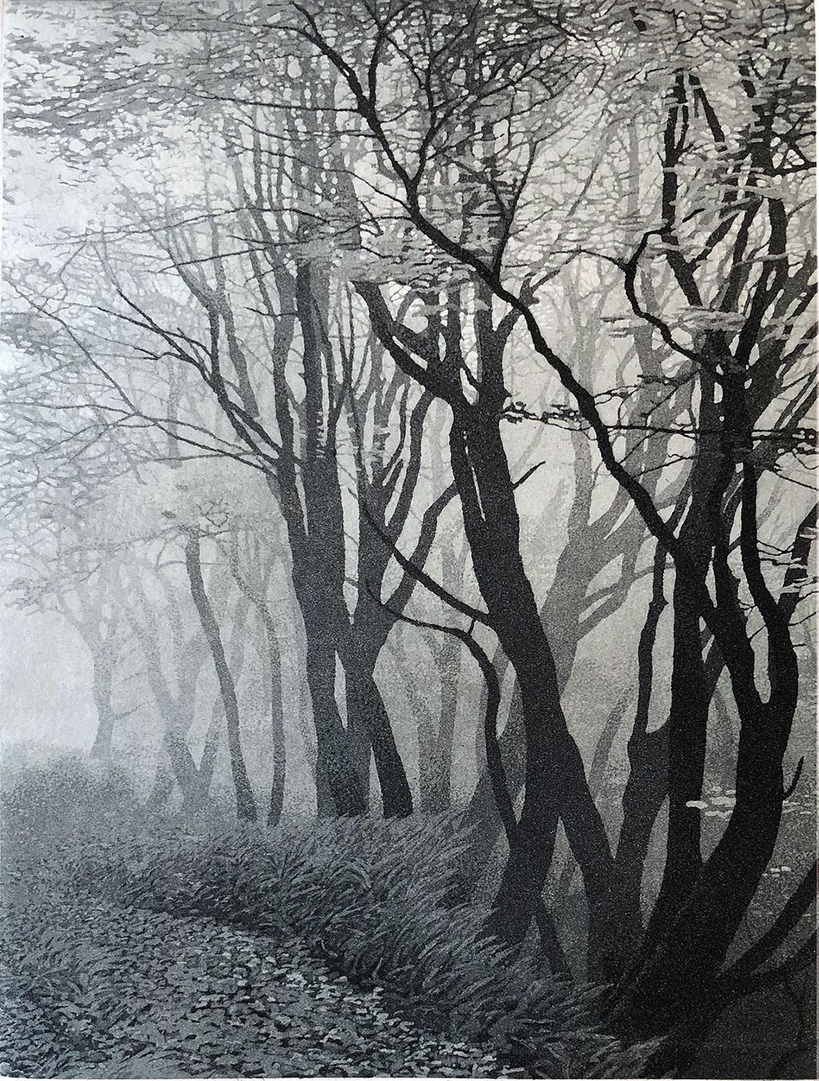 Landscape Print de Stephen McMillan - Bosques del Norte