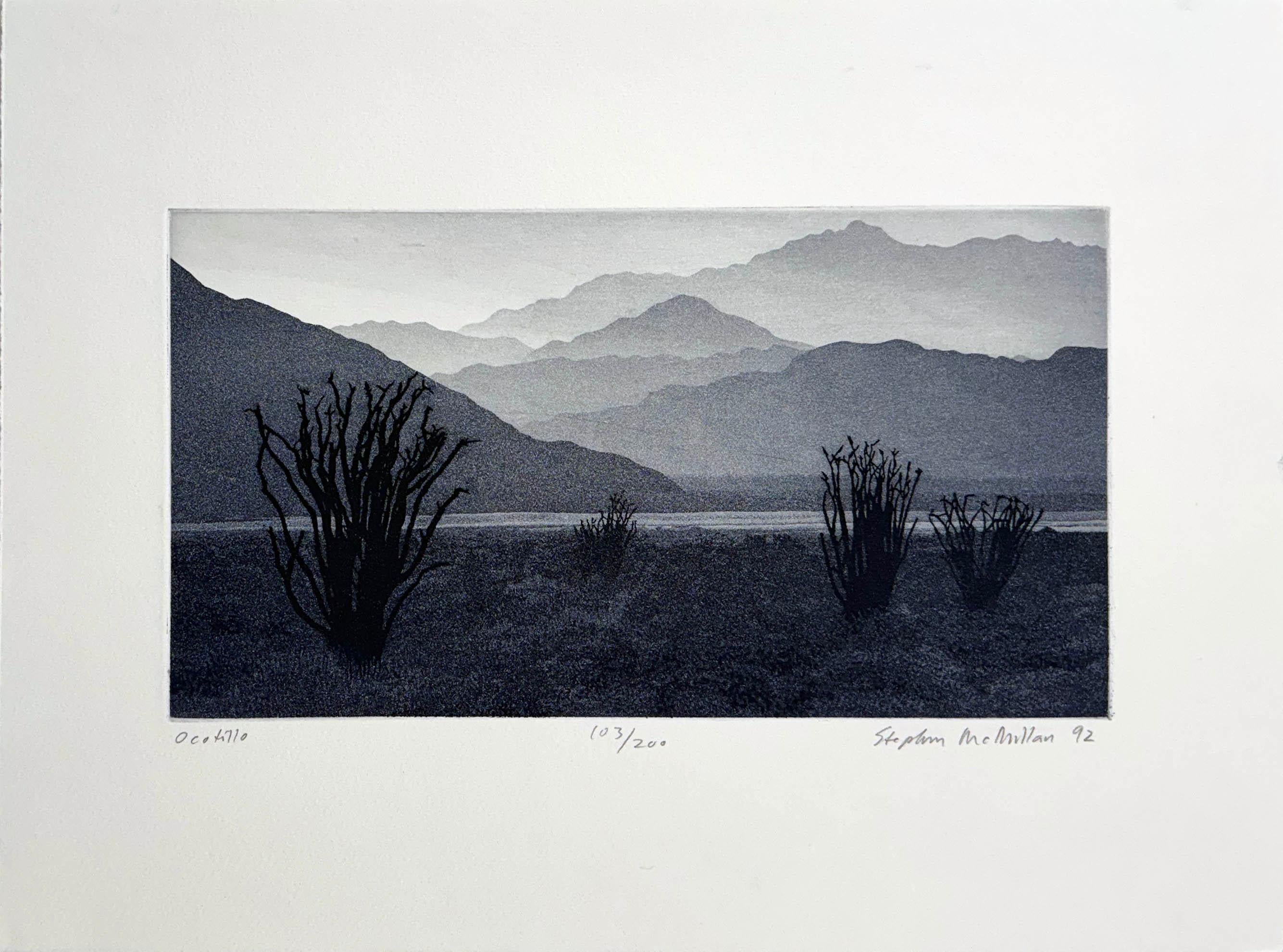 Signed, titled and numbered by the artist.

A view of ocotillo cactus, based on a view near Clark Dry Lake, Anza Borrego Desert State Park, California.

Born in Berkeley, California, on December 21, 1949, he was raised in a home that had a sweeping