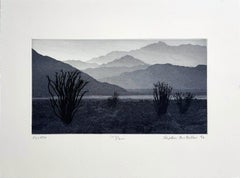 Ocotillo, por Stephen McMillan