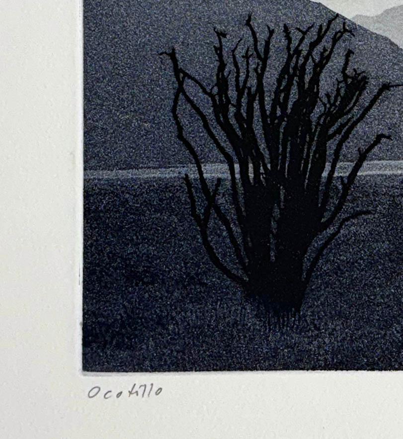 Ocotillo, von Stephen McMillan im Angebot 2
