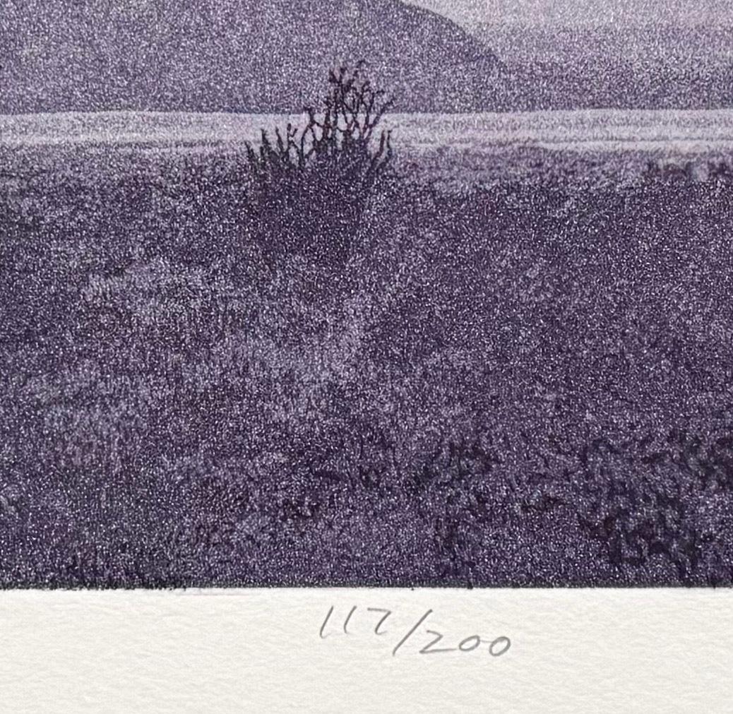 Ocotillo, von Stephen McMillan im Angebot 3