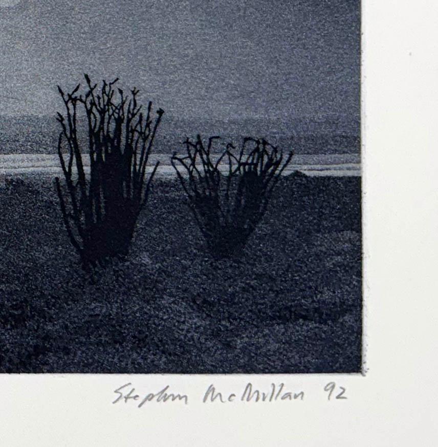 Ocotillo, von Stephen McMillan im Angebot 4