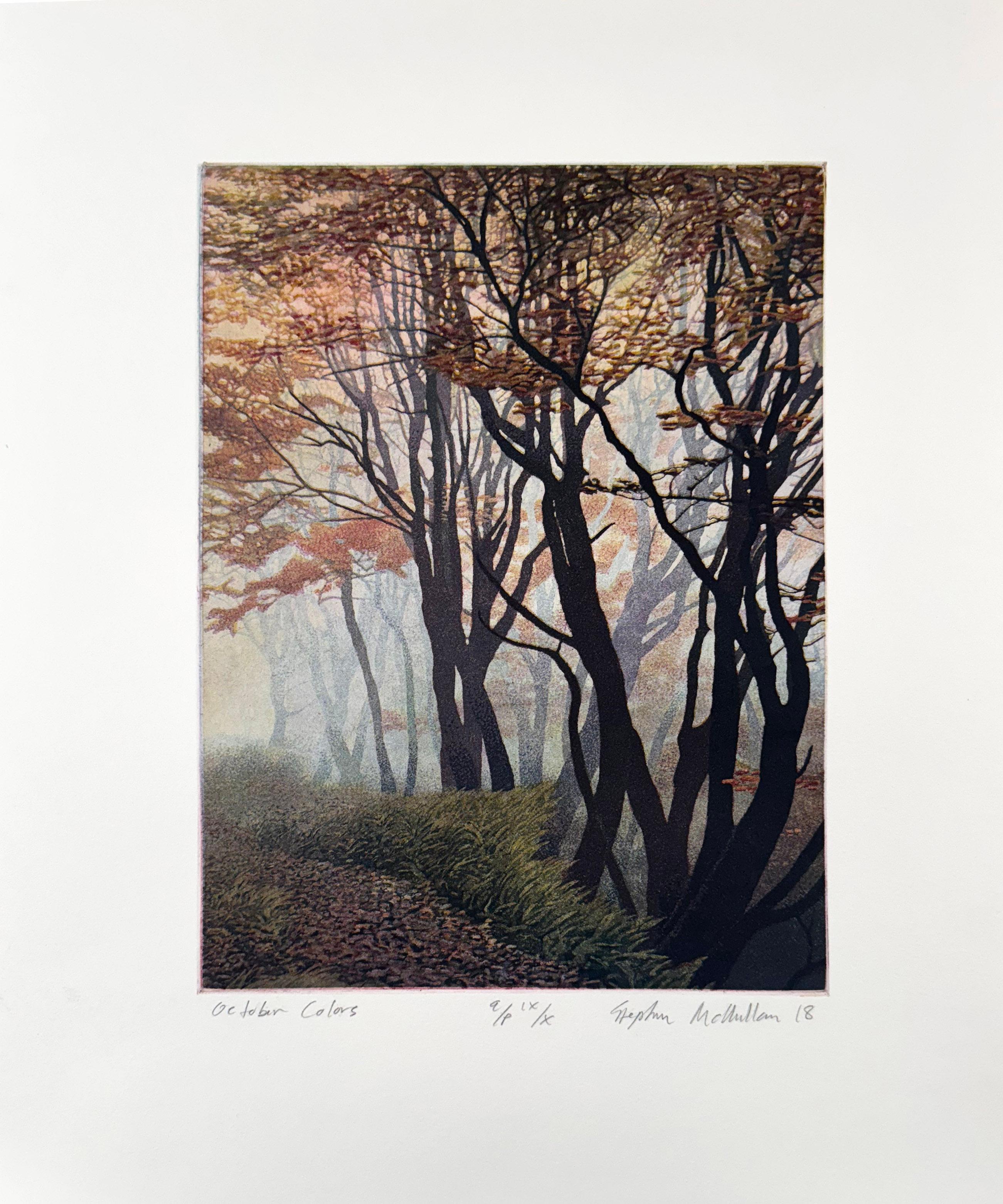 October Colors, by Stephen McMillan For Sale 1