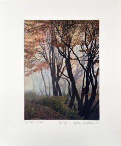 Colores de octubre, por Stephen McMillan