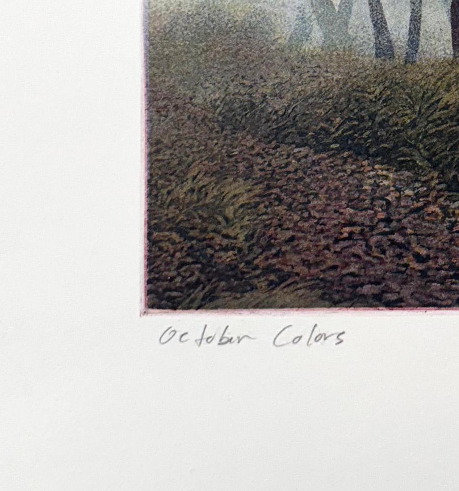 October Colors, by Stephen McMillan For Sale 2
