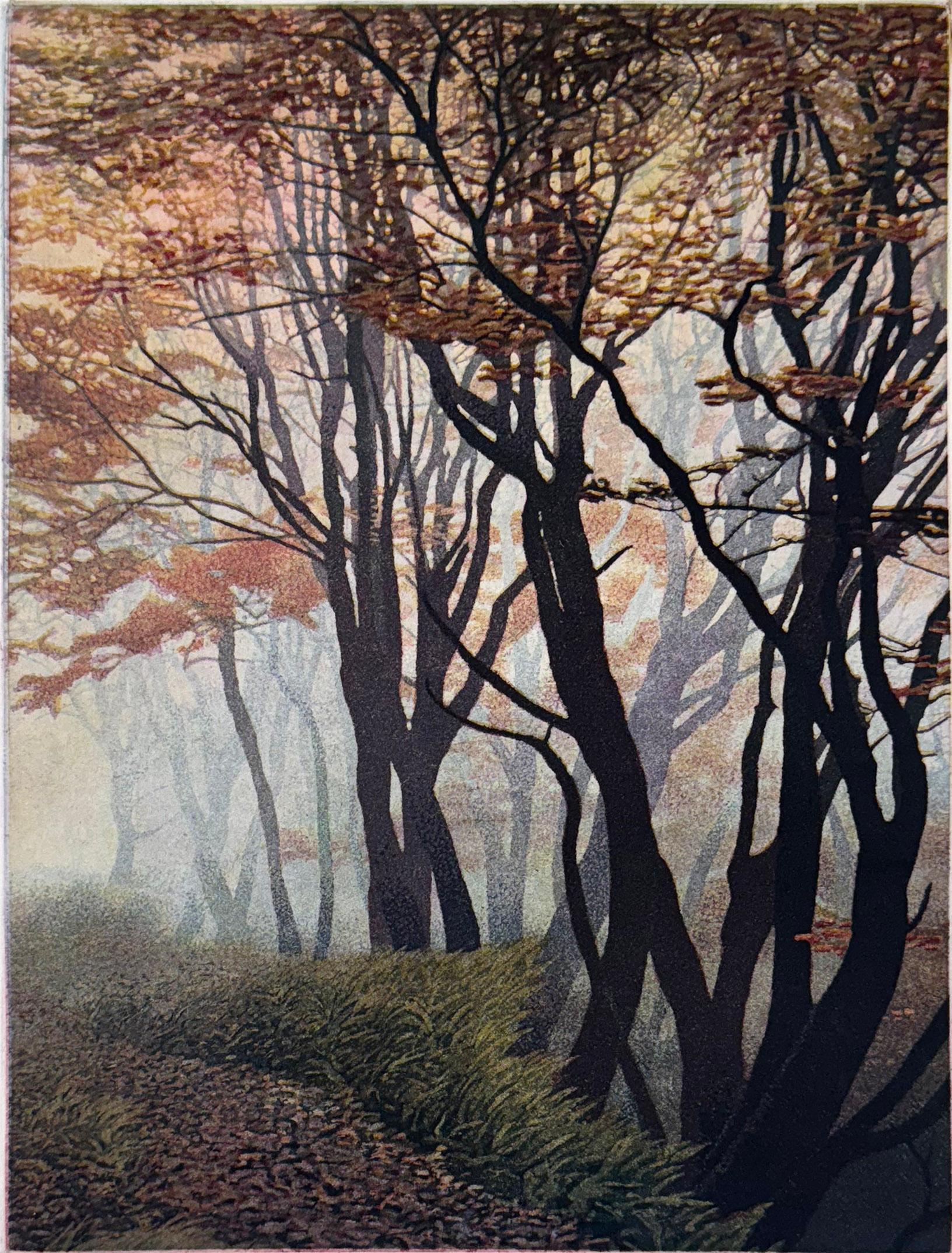 Medium: Aquatint
Dimensions: 12 x 9 inches (image) 
Signature: Signed
Date finished: 2018
Edition: of 100

Fall colors on Chuckanut Drive, south of Bellingham, WA

Born in Berkeley, California, on December 21, 1949, he was raised in a home that had