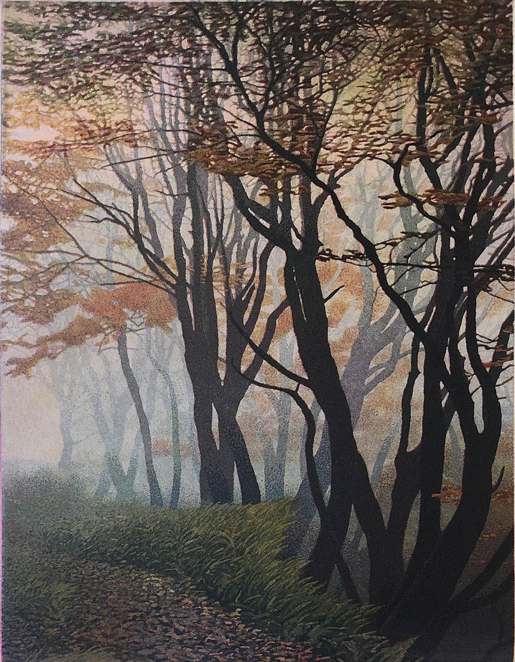 Stephen McMillan Landscape Print - October Colors