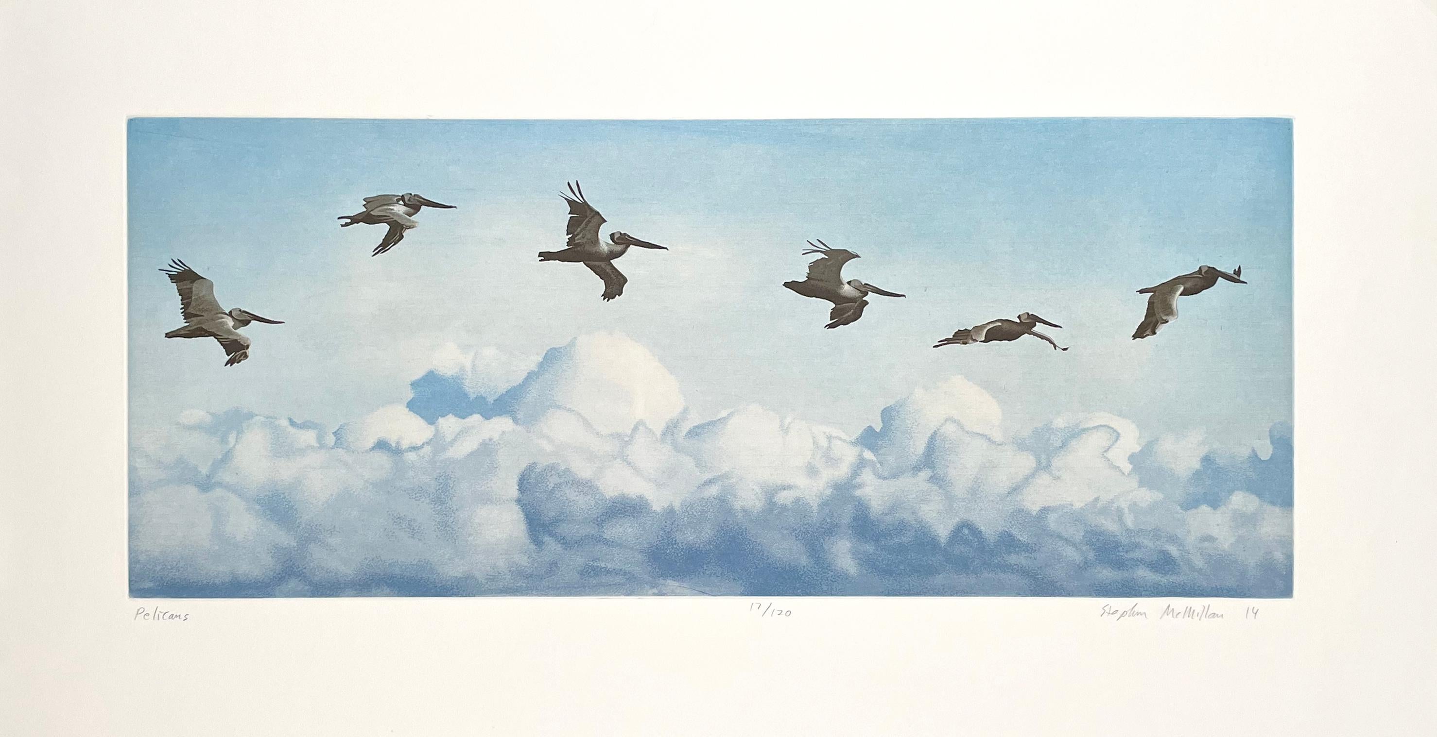 The wildlife and scenery of the Pacific Northwest is the constant focus for McMillan, who spends a lot of his time backpacking and hiking to find the inspiration for his prints like this one of Pelicans in flight.

Born in Berkeley, California, on