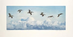Pelicans — Aquatint Etching of Birds in Flight by Stephen McMillan