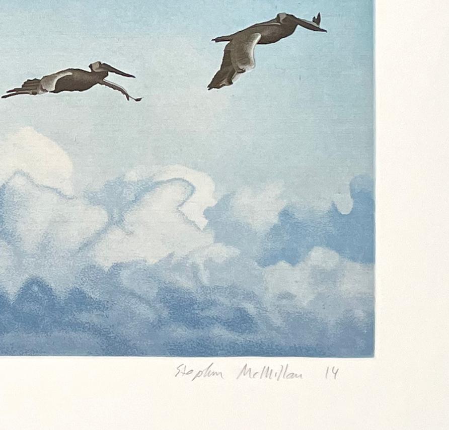 Pelicans, by Stephen McMillan For Sale 1