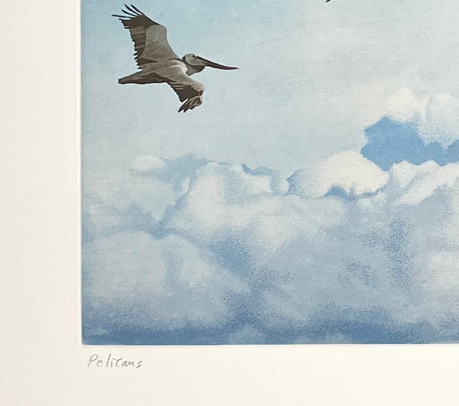 Pelicans, by Stephen McMillan For Sale 2