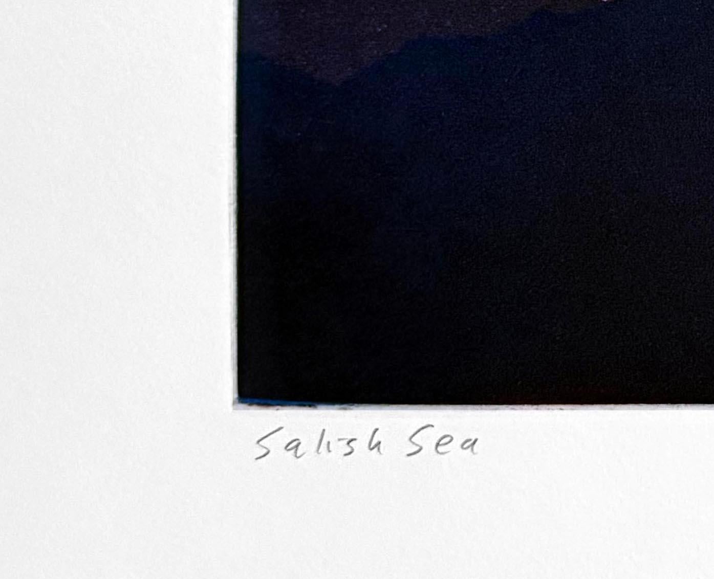 Salish Sea - Contemporary Print by Stephen McMillan