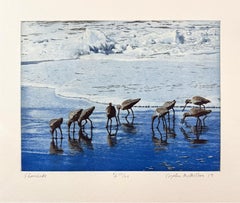 Shore Birds, by Stephen McMillan