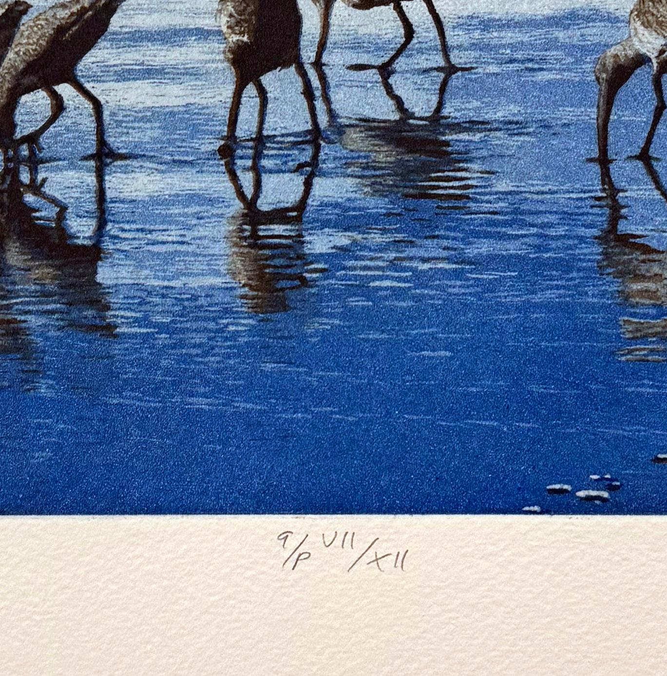 Shore Birds, by Stephen McMillan For Sale 3