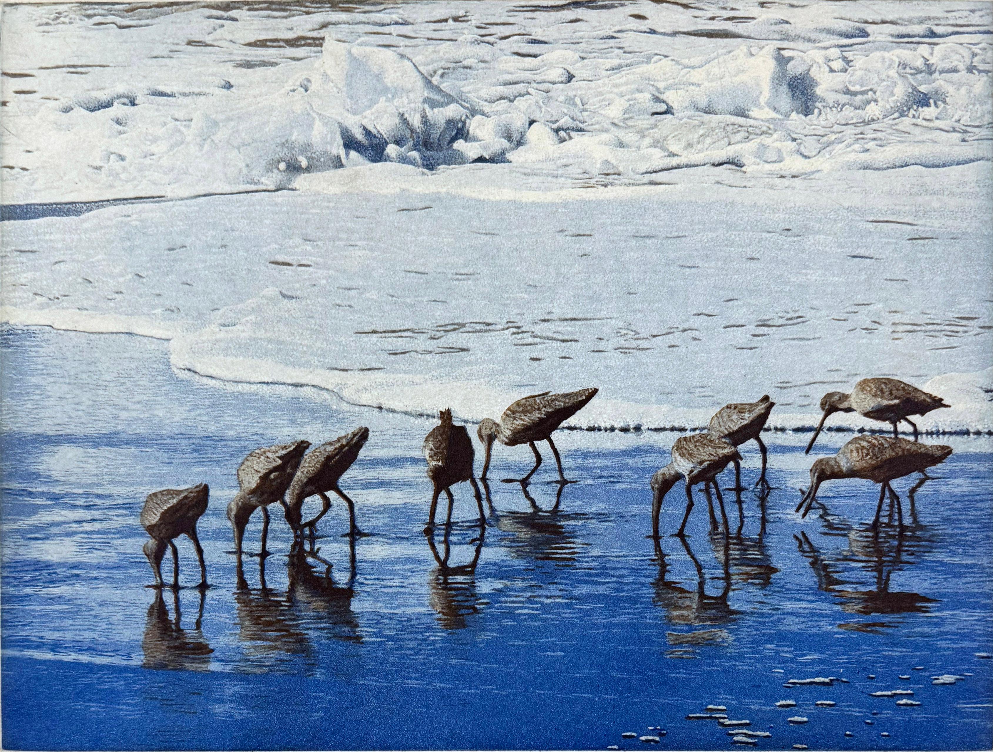 Shore birds foraging in the sea foam at the oceans edge is a perfect example of McMillan's work. He takes his inspiration from the natural world and spends a large part of each year backpacking and hiking through the mountains, beaches and deserts