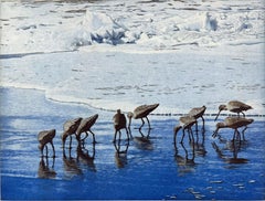 Shore Birds, by Stephen McMillan