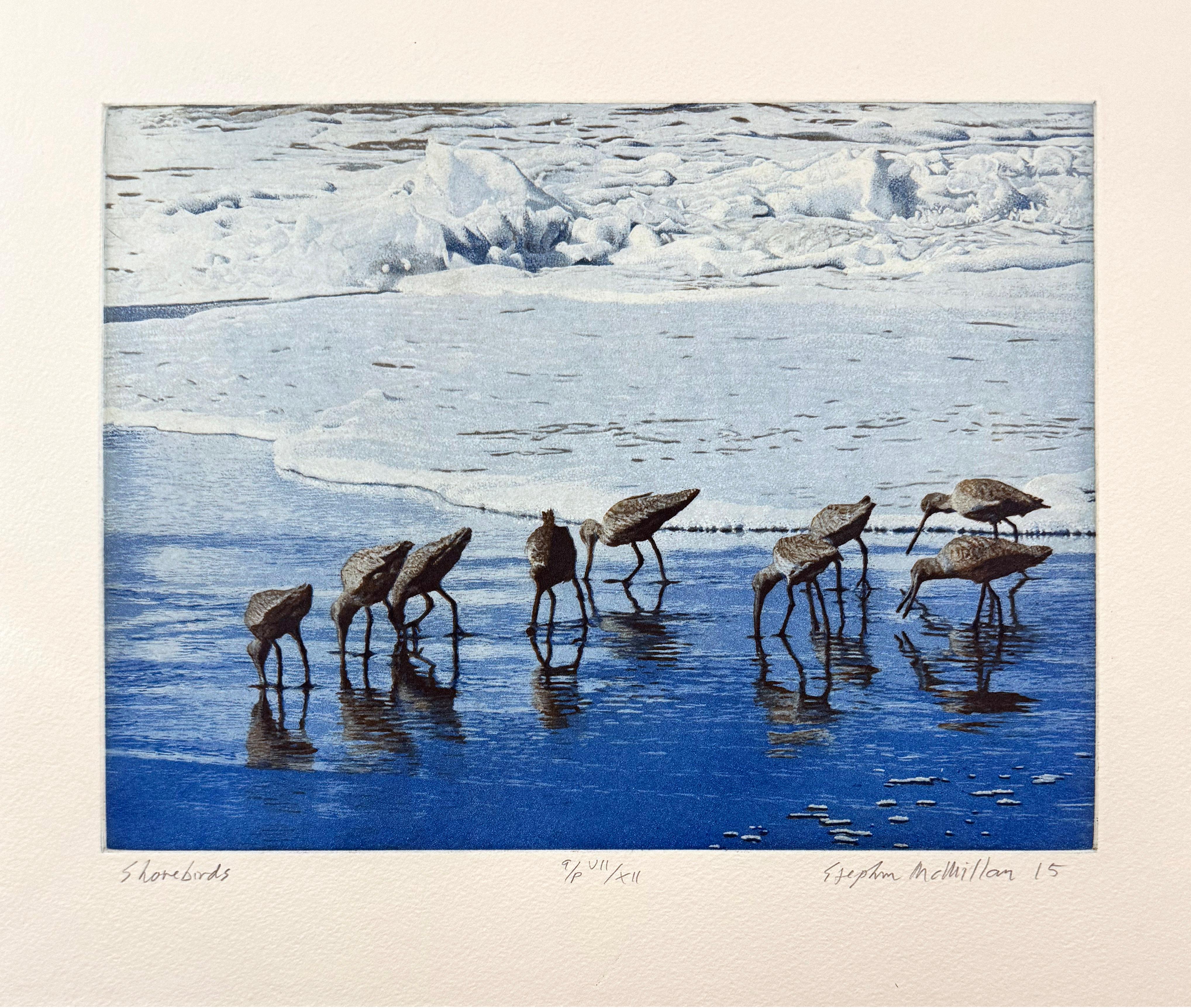 Les oiseaux de rivage, par Stephen McMillan en vente 1